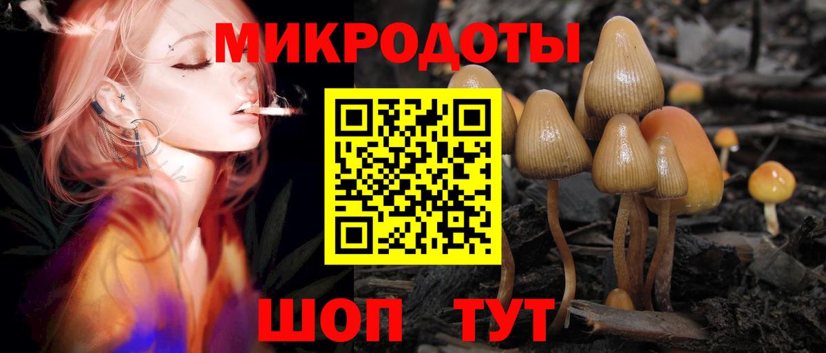 купить закладку  Вход с VPN  Пушкино  Галлюциногенные грибы мухоморы  Галлюциногенные грибы прущие грибы 